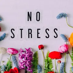 Kwiaty wokół napisu "NO STRESS" symbolizują uczucia wyższe, spokój i harmonię.