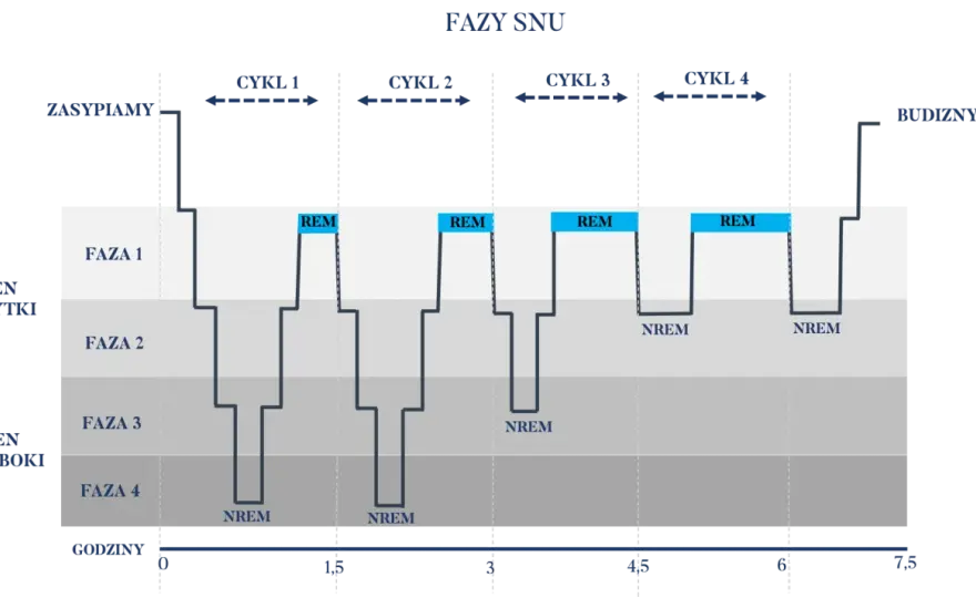 W jakiej fazie snu śnimy? REM, NREM i bezsenność