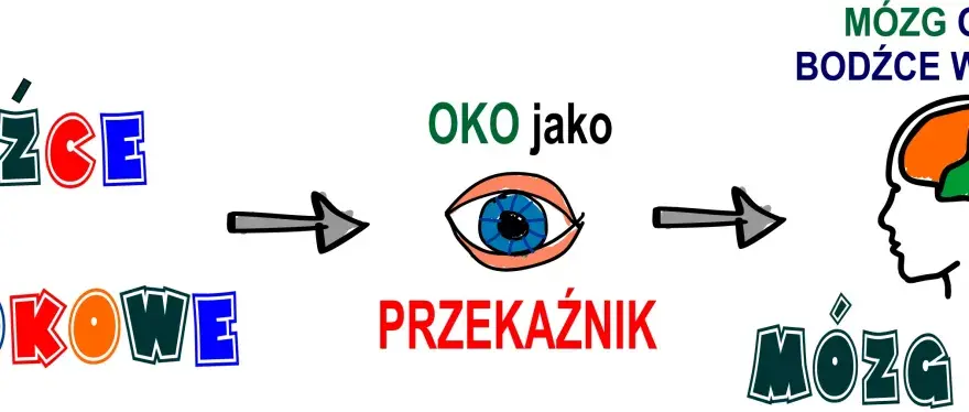 Percepcja - Jak mózg widzi świat? Odkryj, co ją zniekształca!
