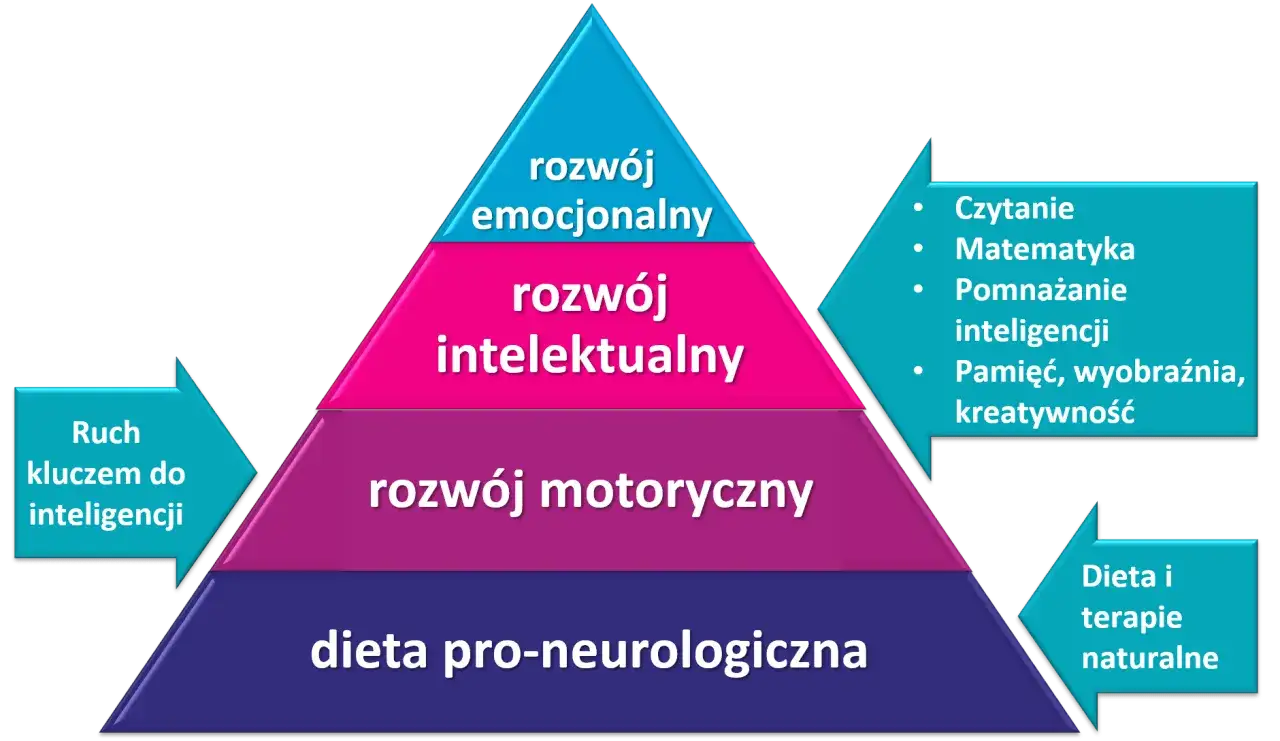 Piramide rozwoju: dieta, ruch, rozwój motoryczny, intelektualny i emocjonalny. Klucz do inteligencji i jak uwierzyć w siebie.